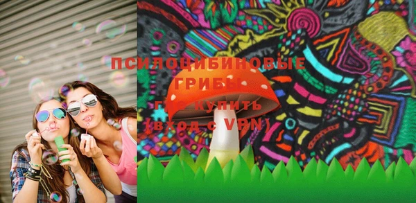дурь Кулебаки
