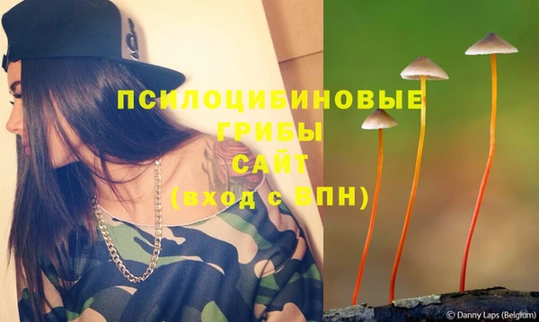 дурь Кулебаки