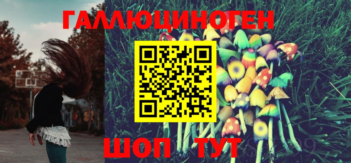 Псилоцибиновые грибы Psilocybe Нижний Новгород