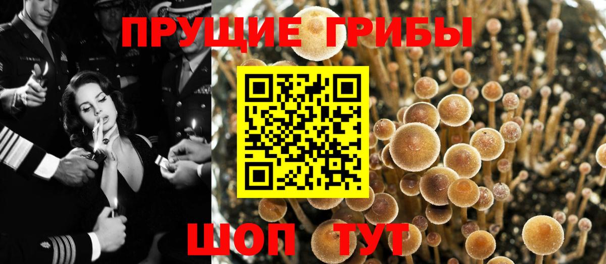 Галлюциногенные грибы ЛСД  Вход с VPN  Галлюциногенные грибы GOLDEN TEACHER  наркошоп  Нижний Новгород 